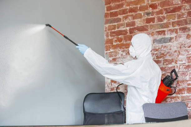 Best Mold Removal for HVAC Installations  in Rawlins, WY