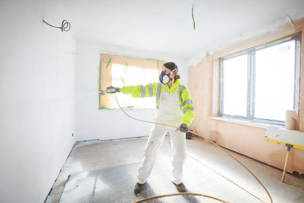 Reliable Rawlins, WY Mold Removal Solutions
