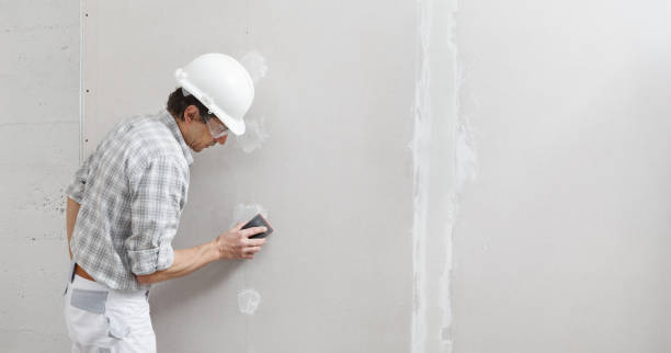 Best Basement Mold Removal  in Rawlins, WY