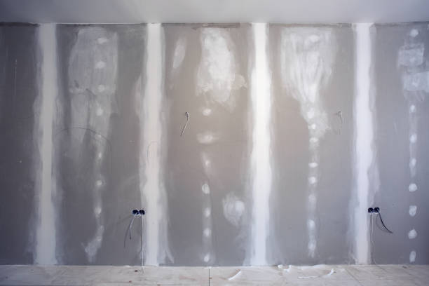 Best Airborne Mold Testing  in Rawlins, WY